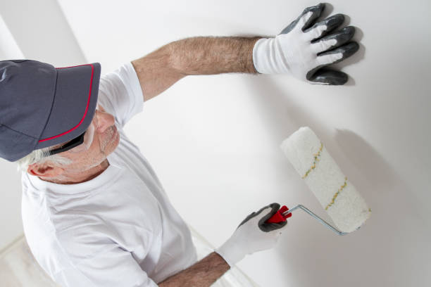 Best Real Estate Mold Inspection  in Durand, MI