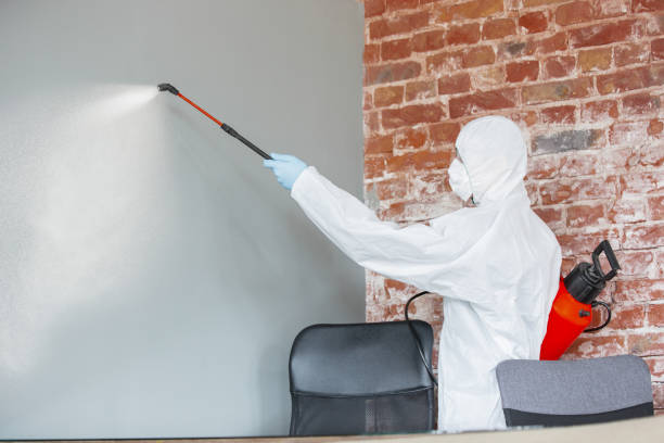 Best Post-Remediation Verification Testing  in Durand, MI