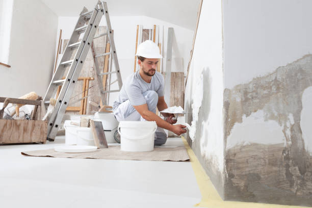 Best Environmental Consulting for Mold Prevention  in Durand, MI