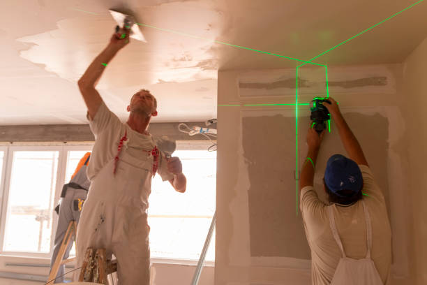 Best Black Mold Removal  in Durand, MI