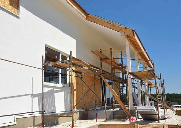 Best Post-Construction Mold Inspection  in Durand, MI