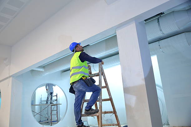 Best Comprehensive Air Testing for Mold Contaminants  in Durand, MI