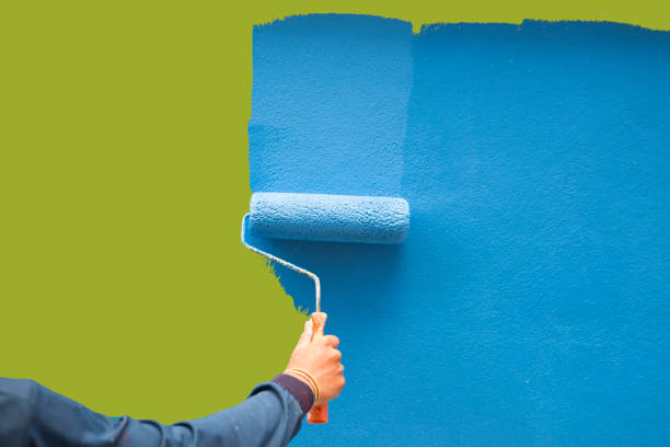 Best Mold Documentation for Insurance Claims  in Durand, MI